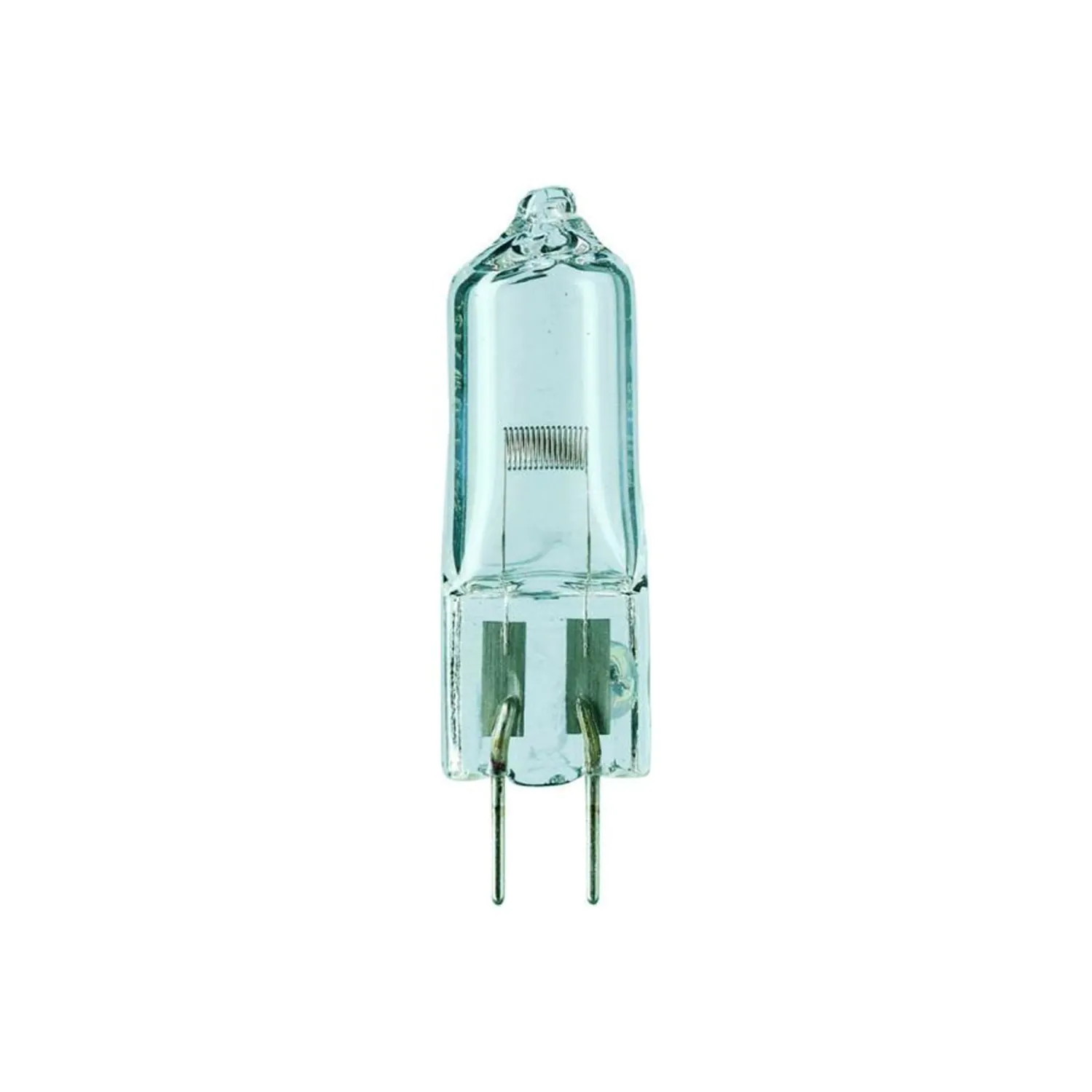 GY6.35 Kapselpærer